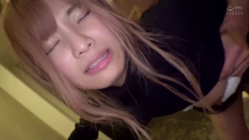 サンプル画像